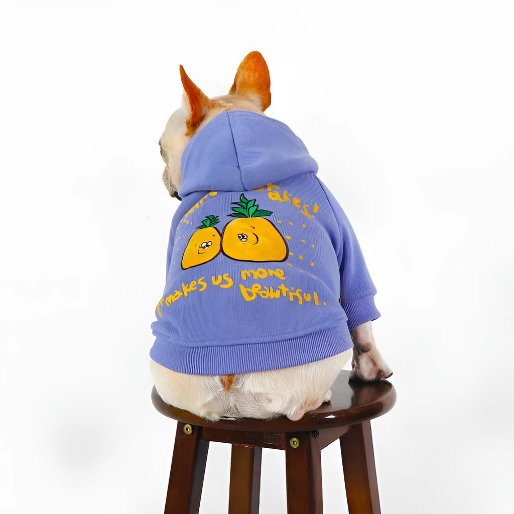 Blue and purple cartoon print cotton plush hoodie for dogs in various sizes