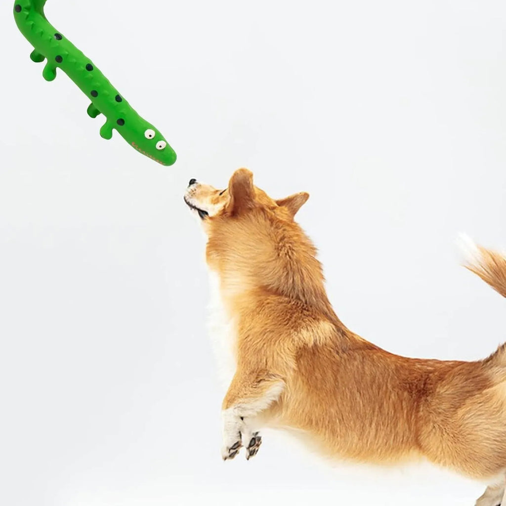 Green lizard-shaped latex dog chew toy with squeaker on a white background