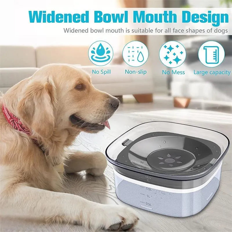 Transparent 2-litre dog water bowl with floating slow-feed disk and non-slip frosted base