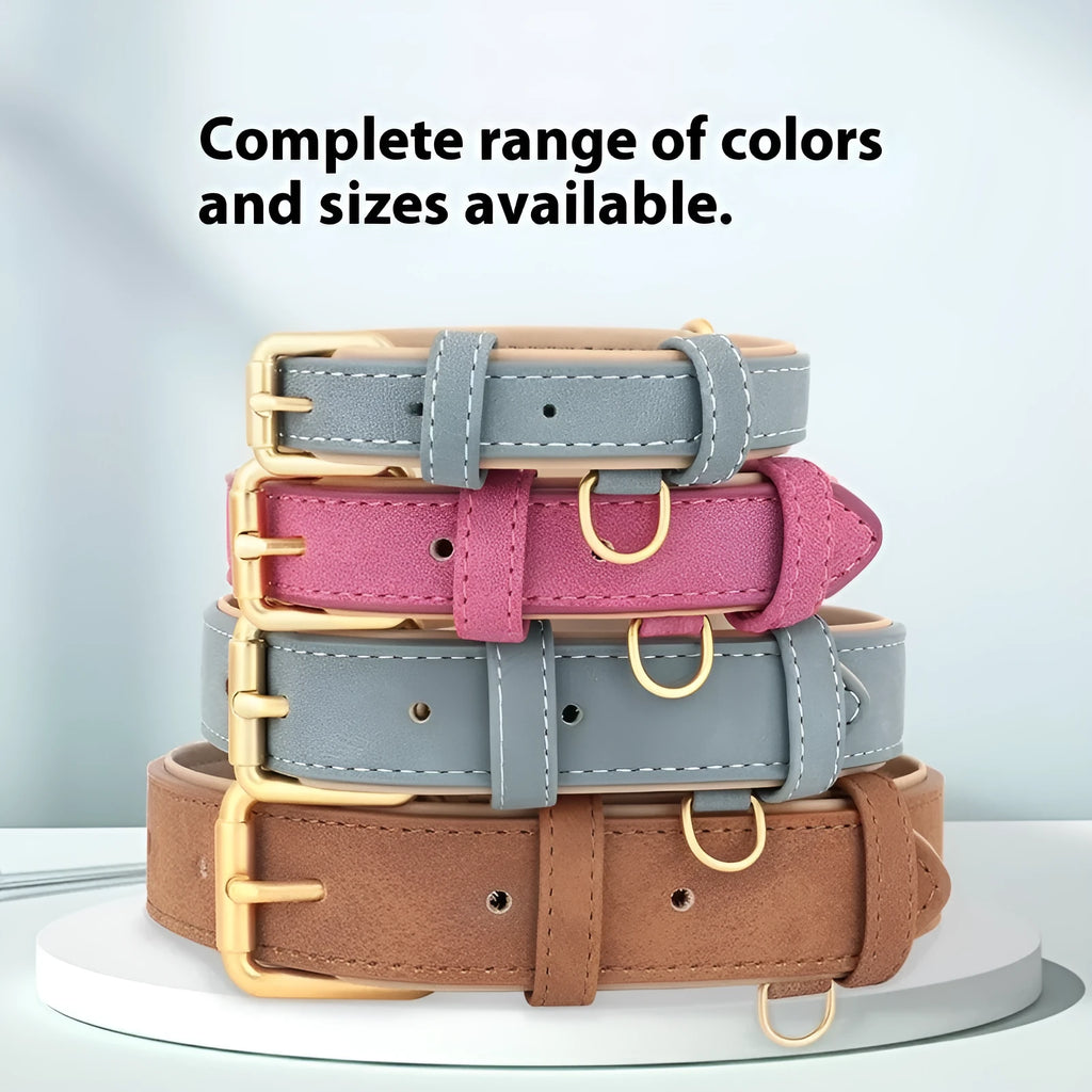 A rose red double-layer leather dog collar with a matching adjustable traction rope on a grey background.