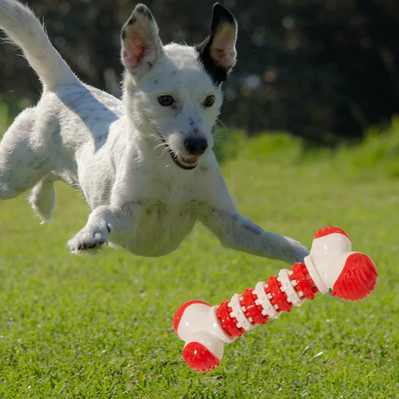 Blue bone-shaped interactive dog toy for small breeds with treat holder in centre