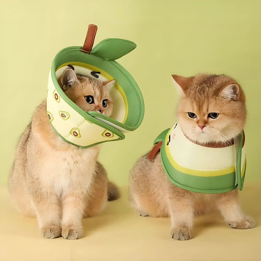 Soft EPE cat cone collar with adjustable strap for post-surgery recovery