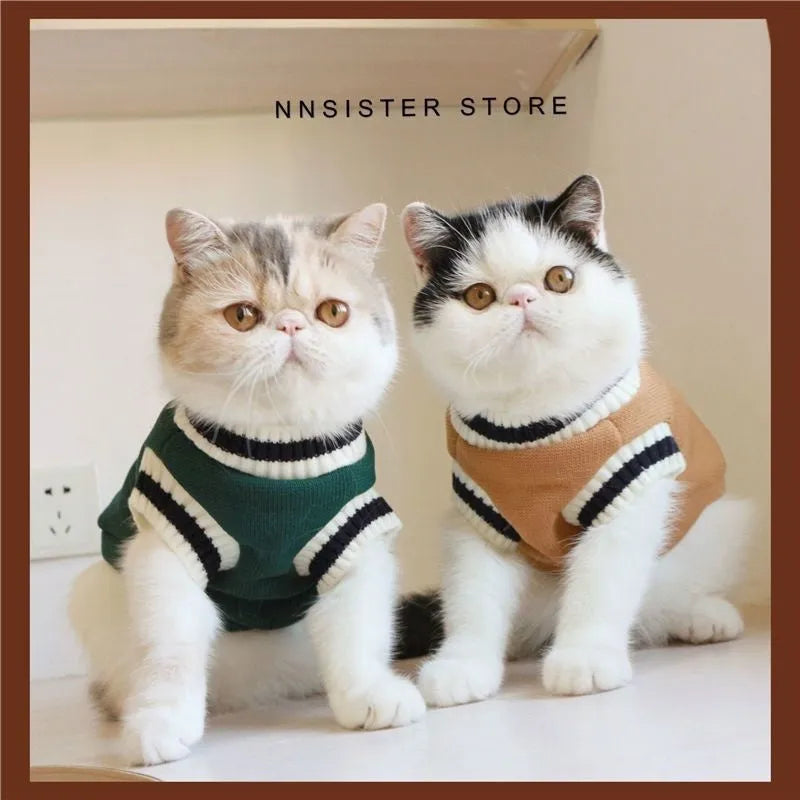 Silver college style winter coat for British Shorthair cat shown in blue duck colour option