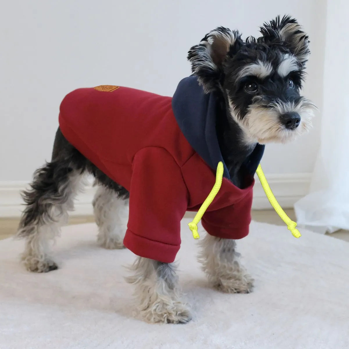 Dark red British-style dog hooded pullover jumper on a model dog