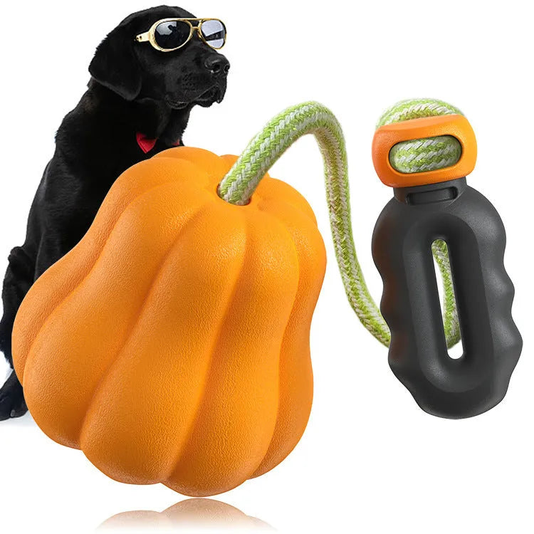 Pumpkin-coloured plastic molar dog chew toy with a blue rope attached on a white background.
