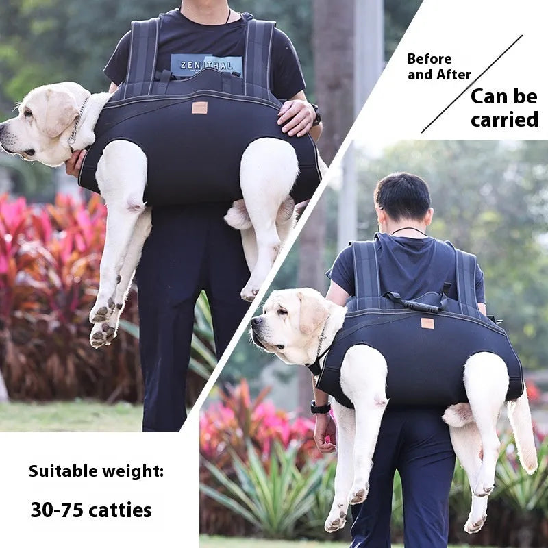 Black Oxford cloth dog backpack carrier for medium to large pet transport