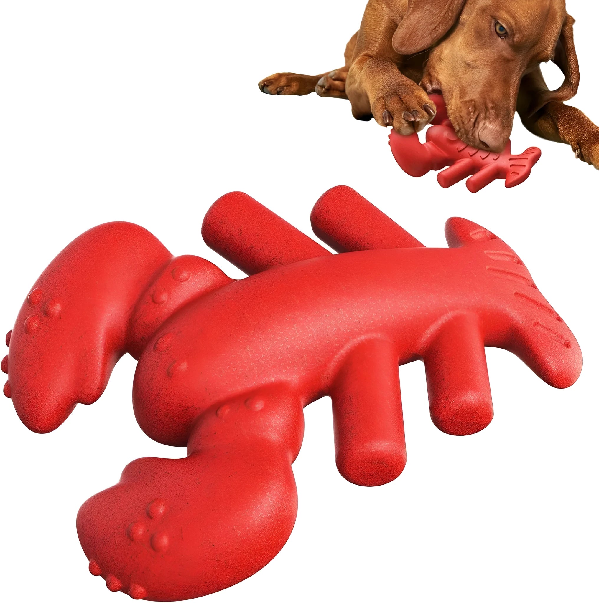 Red hard-material dog chew toy for large aggressive chewers, shown with size scale.