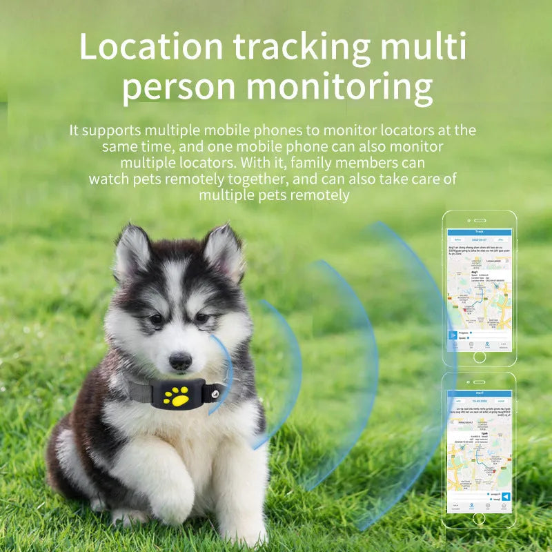 Black and yellow waterproof GPS pet tracker showing compact dimensions next to a dog collar.