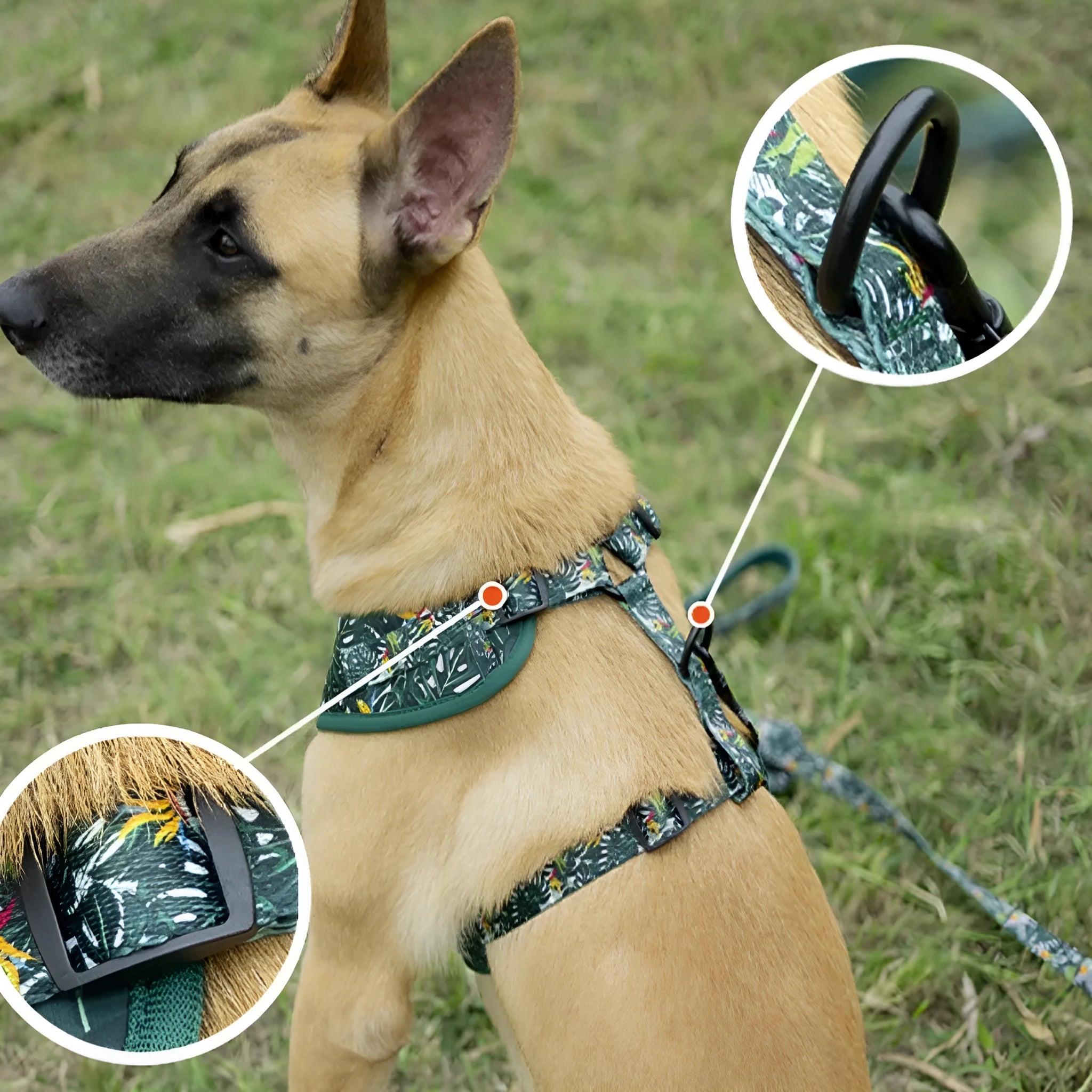 Six-piece adjustable cloth dog harness set with vest, rope, collar, waste bag, bow, and scarf in S, M, L sizes.