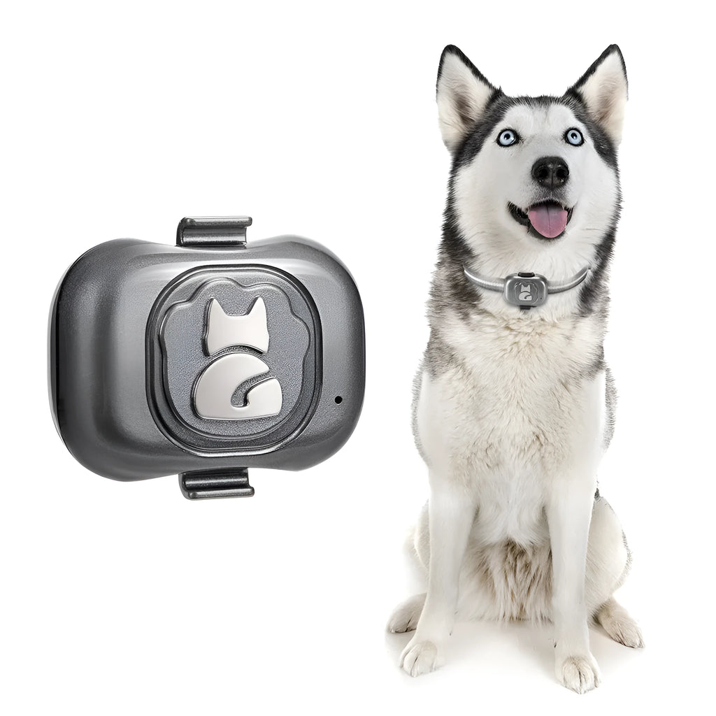 Black pet GPS tracker device with hanging rope for collar attachment