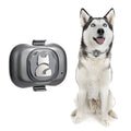 Black pet GPS tracker device with hanging rope for collar attachment