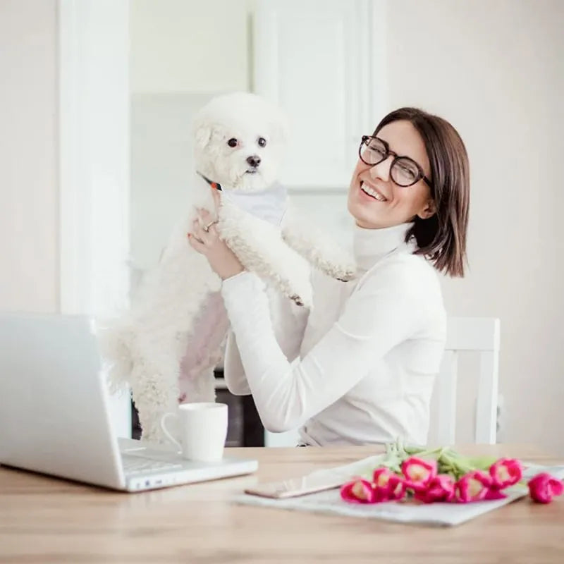 Blank white polyester dog scarf for thermal transfer personalisation in four sizes
