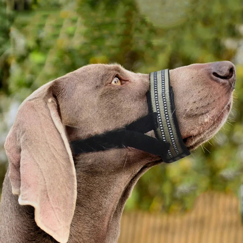 Adjustable reflective dog muzzle in blue, shown on a large dog model, with straps and nose-guard visible.