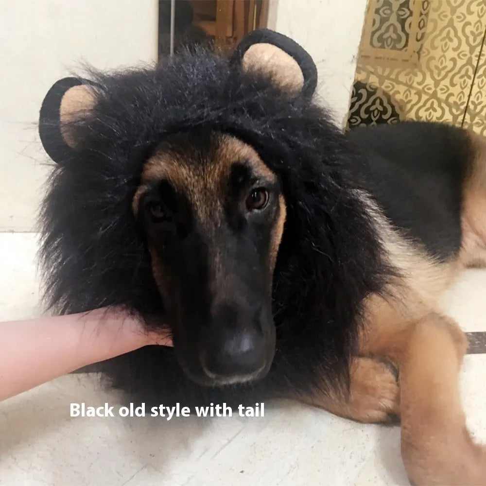 Dog wearing a brown lion headdress costume wig with a full mane and elastic neckband