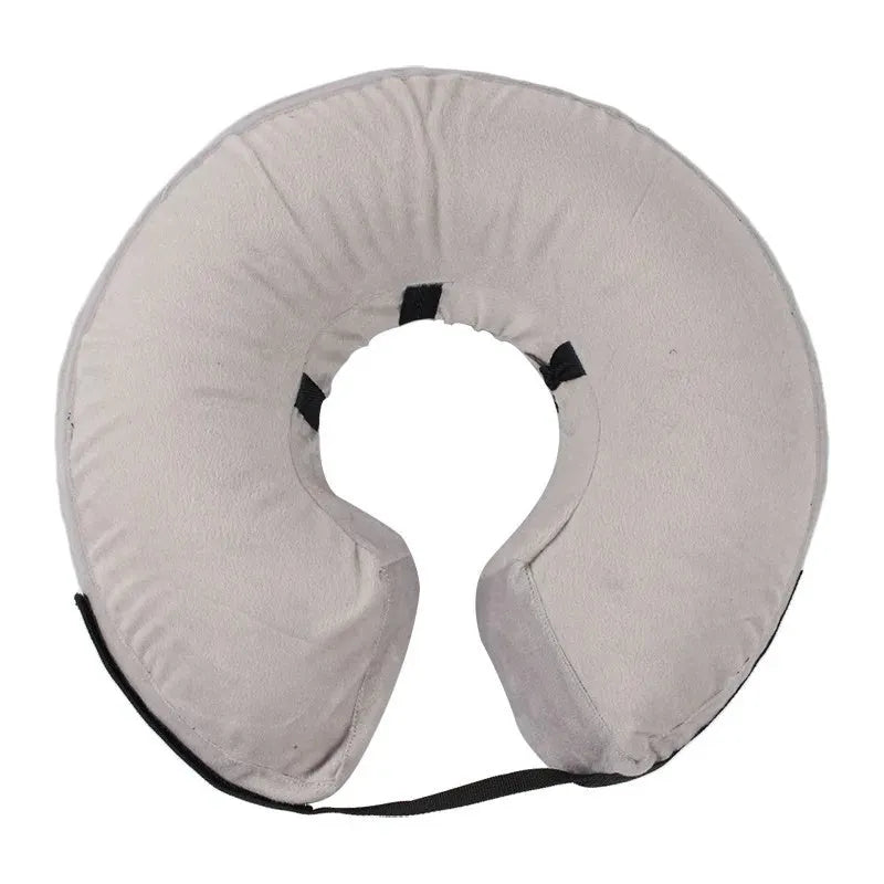 Blue inflatable soft recovery collar for a dog, shown as an alternative to a plastic cone.