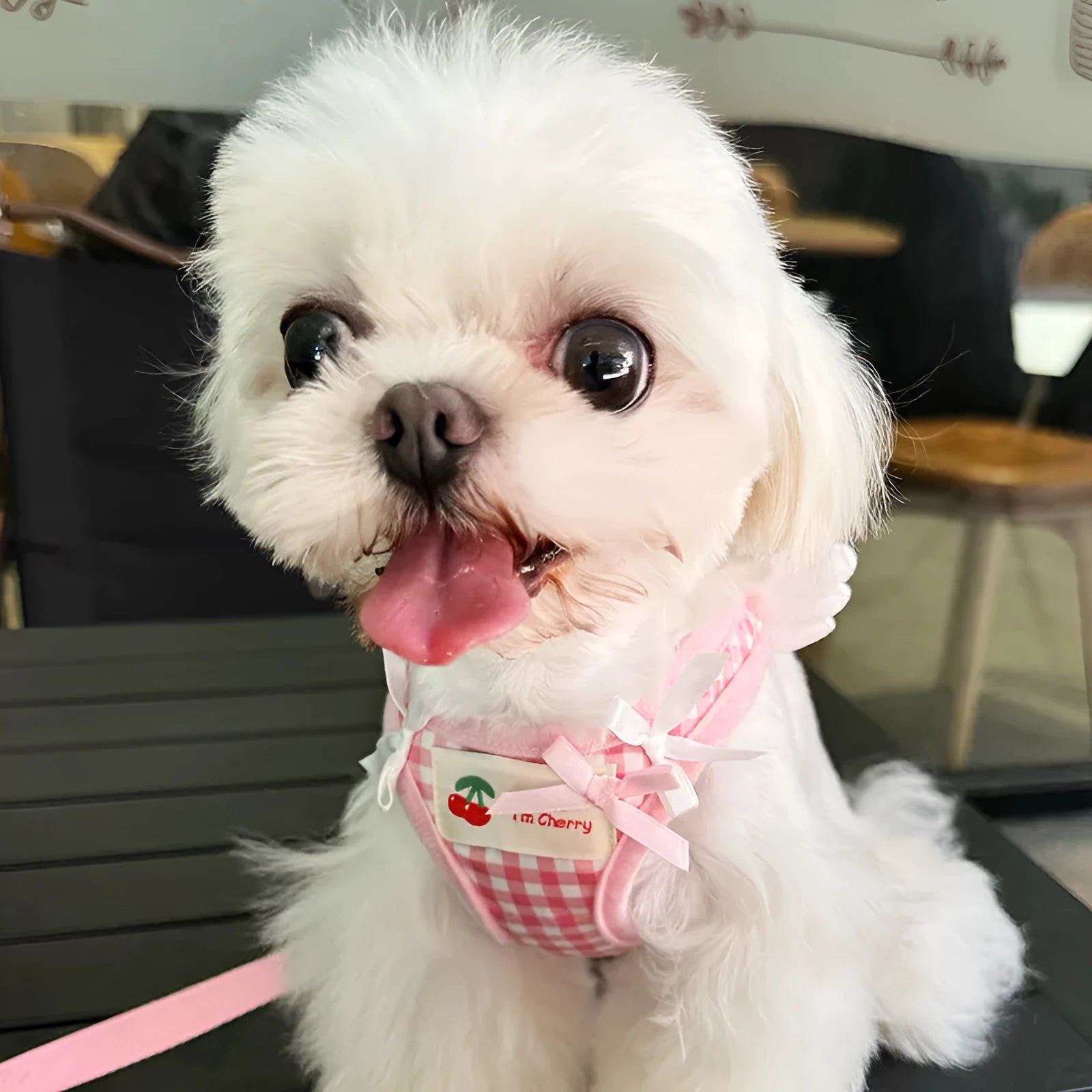 Pink cotton chest-back dog harness with handle for small dogs on a white background.