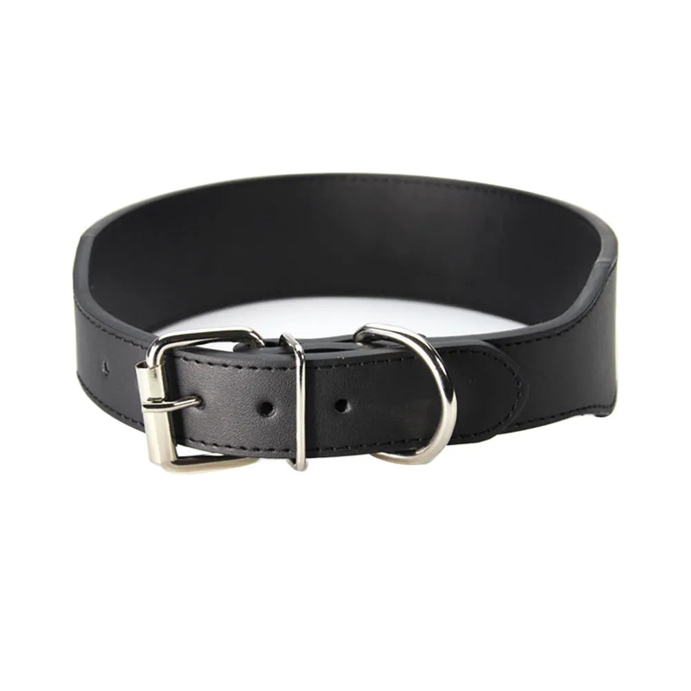 Large dog leather collar with fish-shaped buckle in assorted colours on a white background.