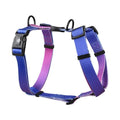 Gradient colour dog harness with polyester construction in purple, blue, neon, or green colour options