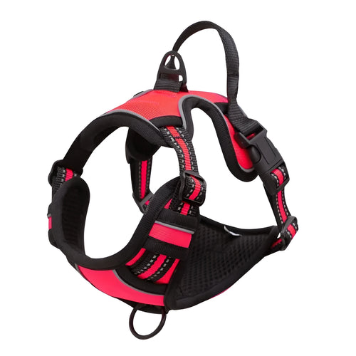 Adjustable outdoor dog harness in Oxford cloth shown in multiple colours and sizes.