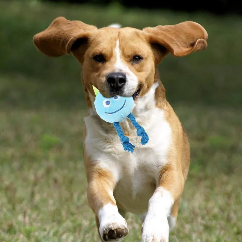 Blue and yellow cartoon-style dog squeaky toys with knot design cotton rope construction