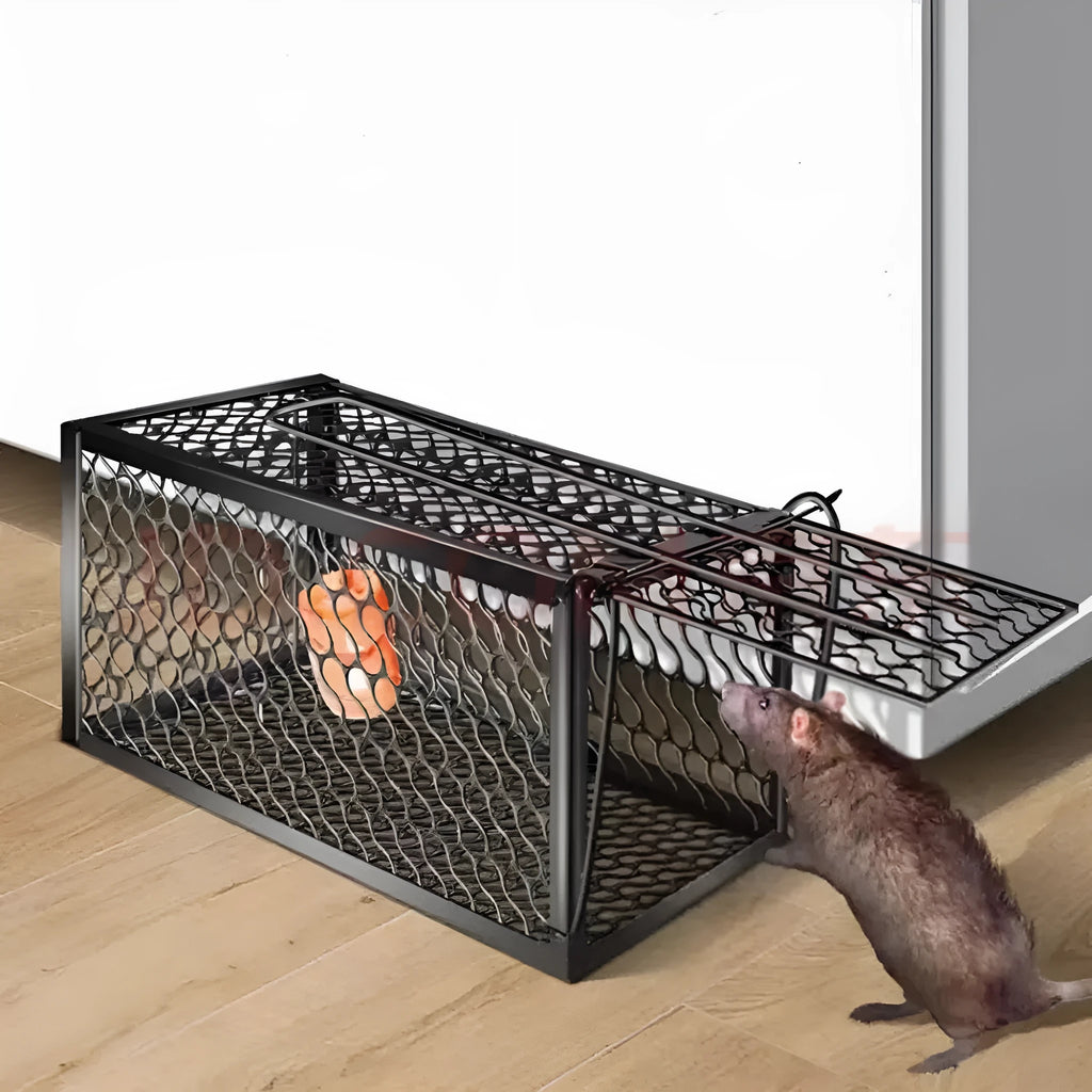 Automatic cage mousetrap in metal iron clamp and plastic designs for catching small rodents