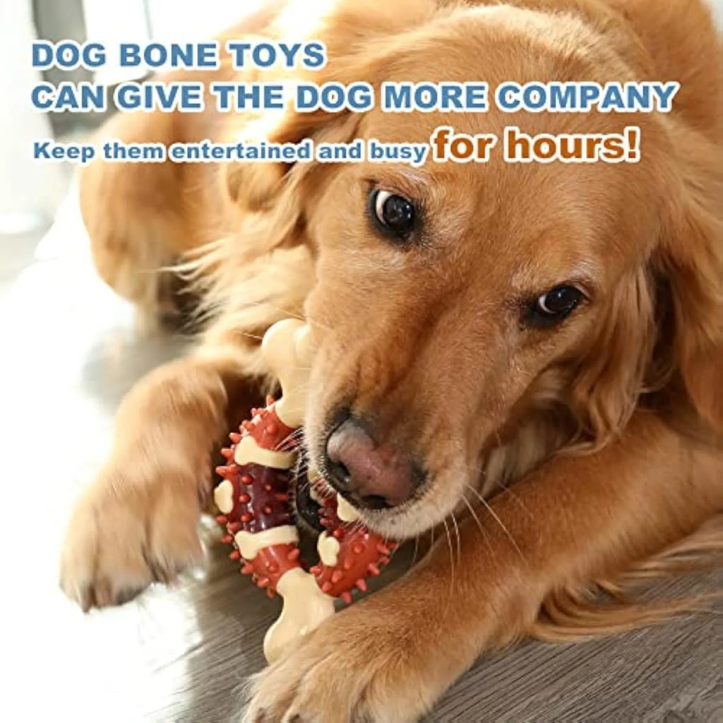 Natural rubber bone-shaped dog chew toy for dental health.