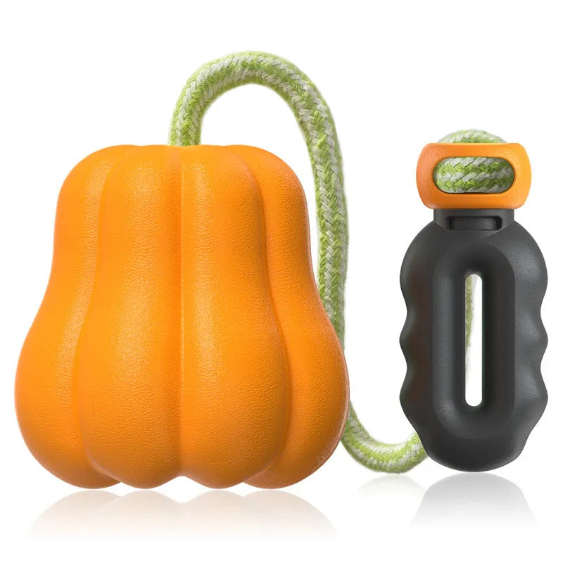 Pumpkin-coloured plastic molar dog chew toy with a blue rope attached on a white background.