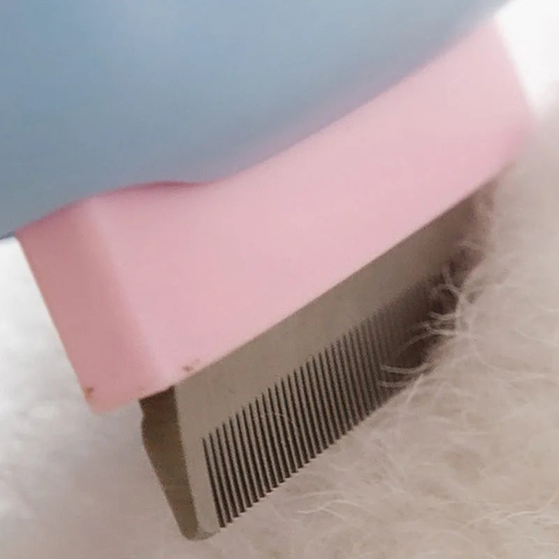 Blue and green double-sided pet grooming brush with deshedding rake and dematting comb