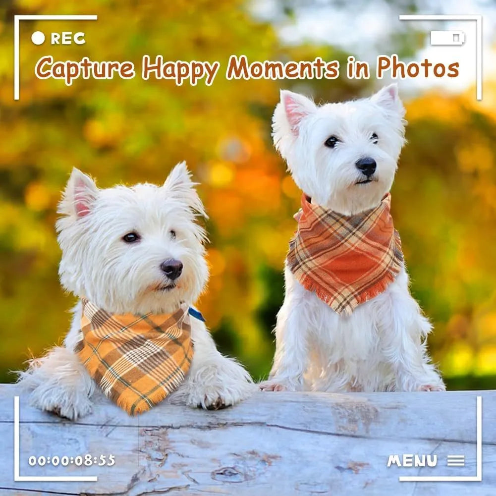 Plaid triangle dog bandana with tassels in autumn colours on a dog's neck.