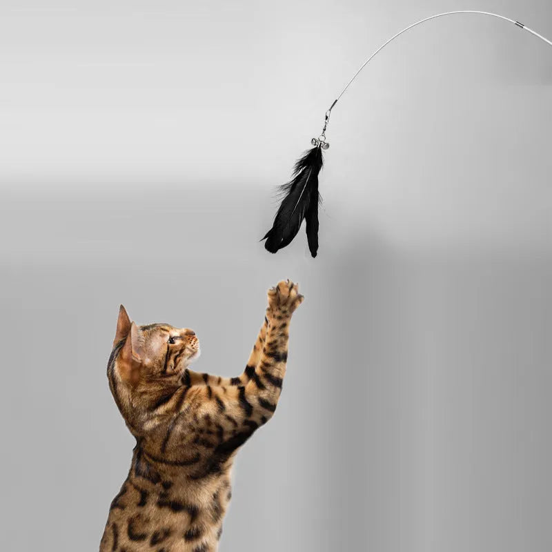 Telescopic cat fishing rod toy extended to 80cm with goose feather attachments and removable bell