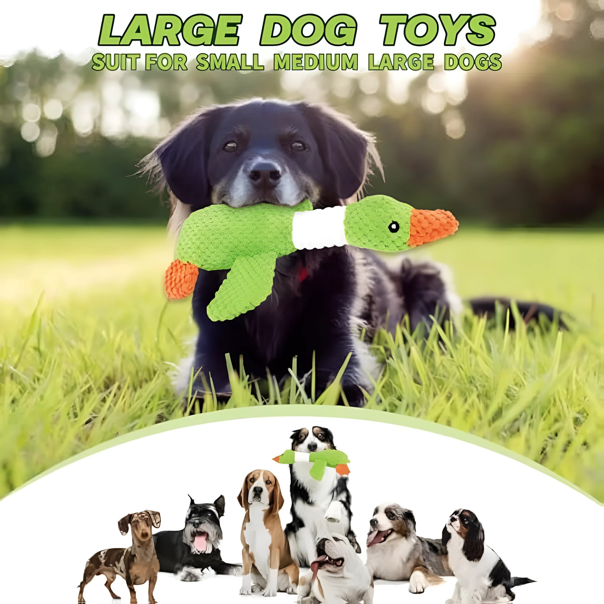 Blue duck-shaped plush dog toy with squeakers for chewing and interactive play