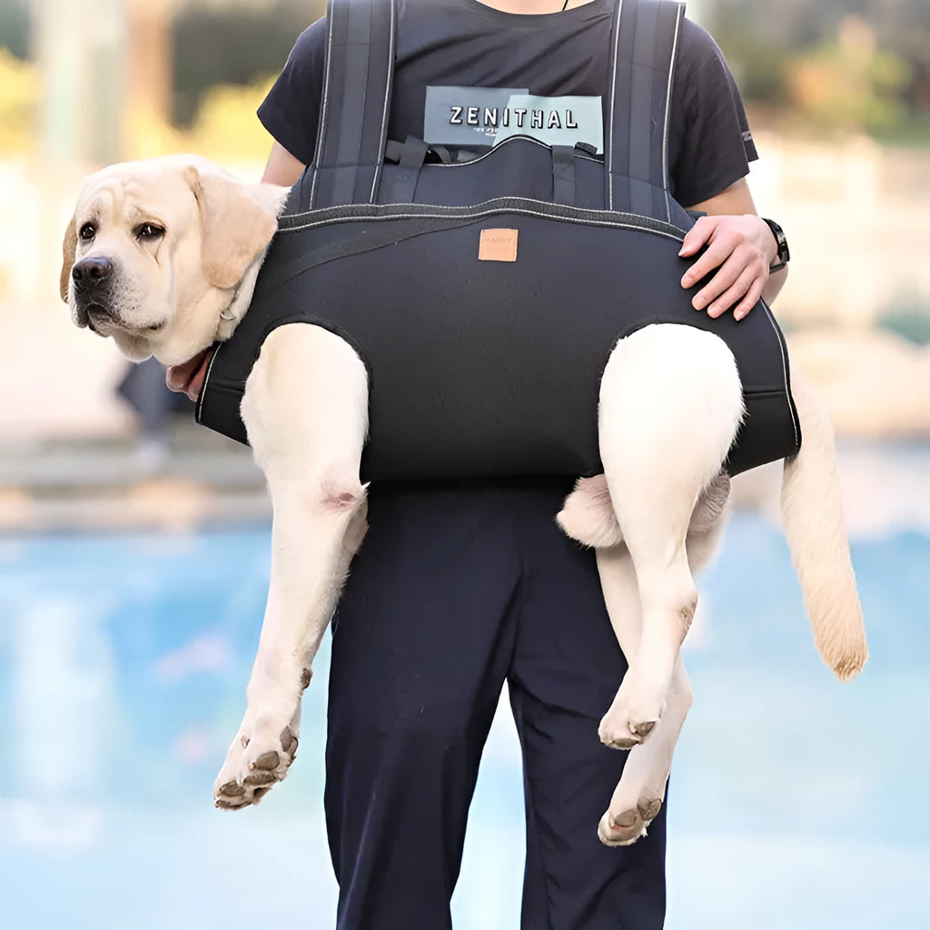 Black Oxford cloth dog backpack carrier for medium to large pet transport