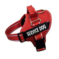 Oxford cloth dog chest strap harness with reflective ribbon and alloy buckle, blue colour, on white background