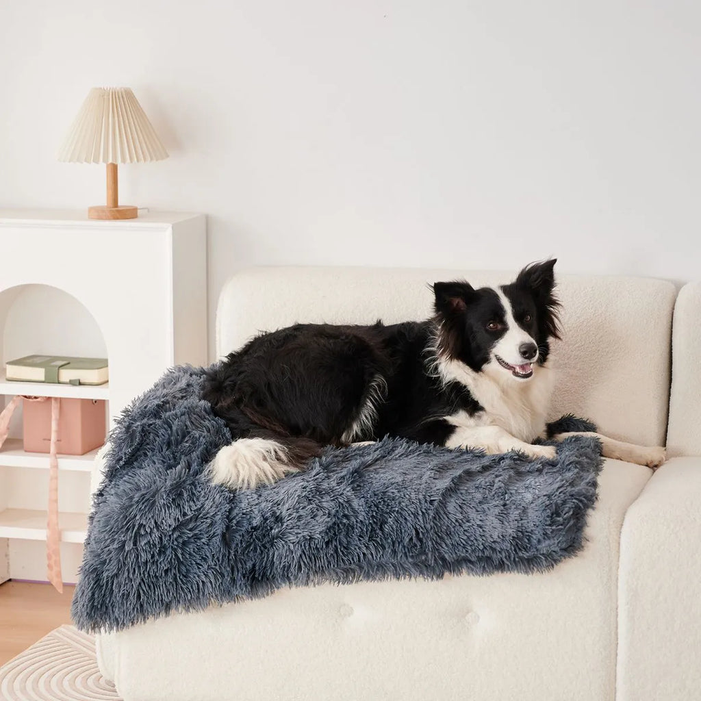 Grey velvet and plush pet blanket on a sofa, showing its size and texture.