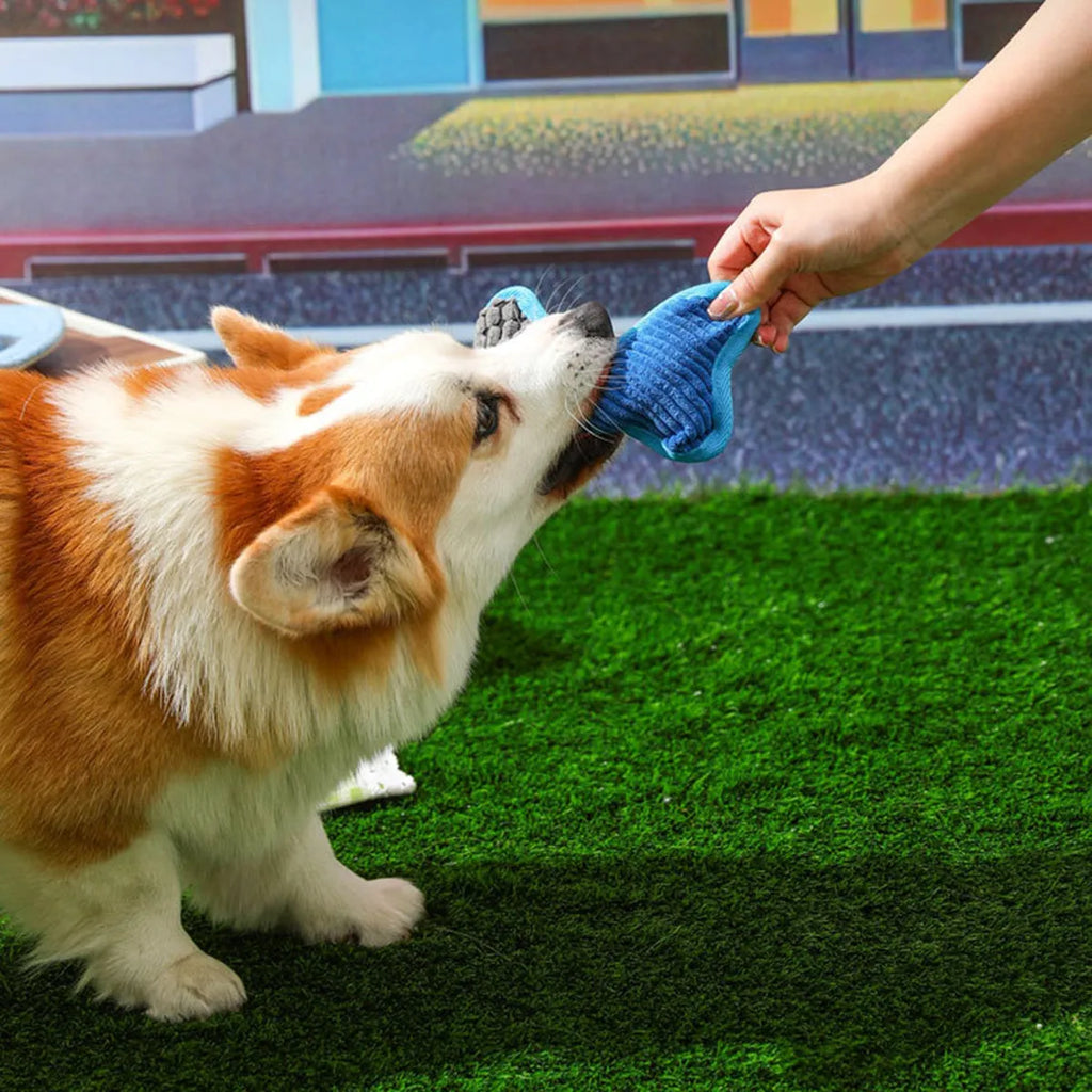 Blue teddy dog toy with a sound bone model and soft corn fleece lining