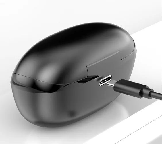 Black and white wireless Bluetooth in-ear headset with type-C charging case
