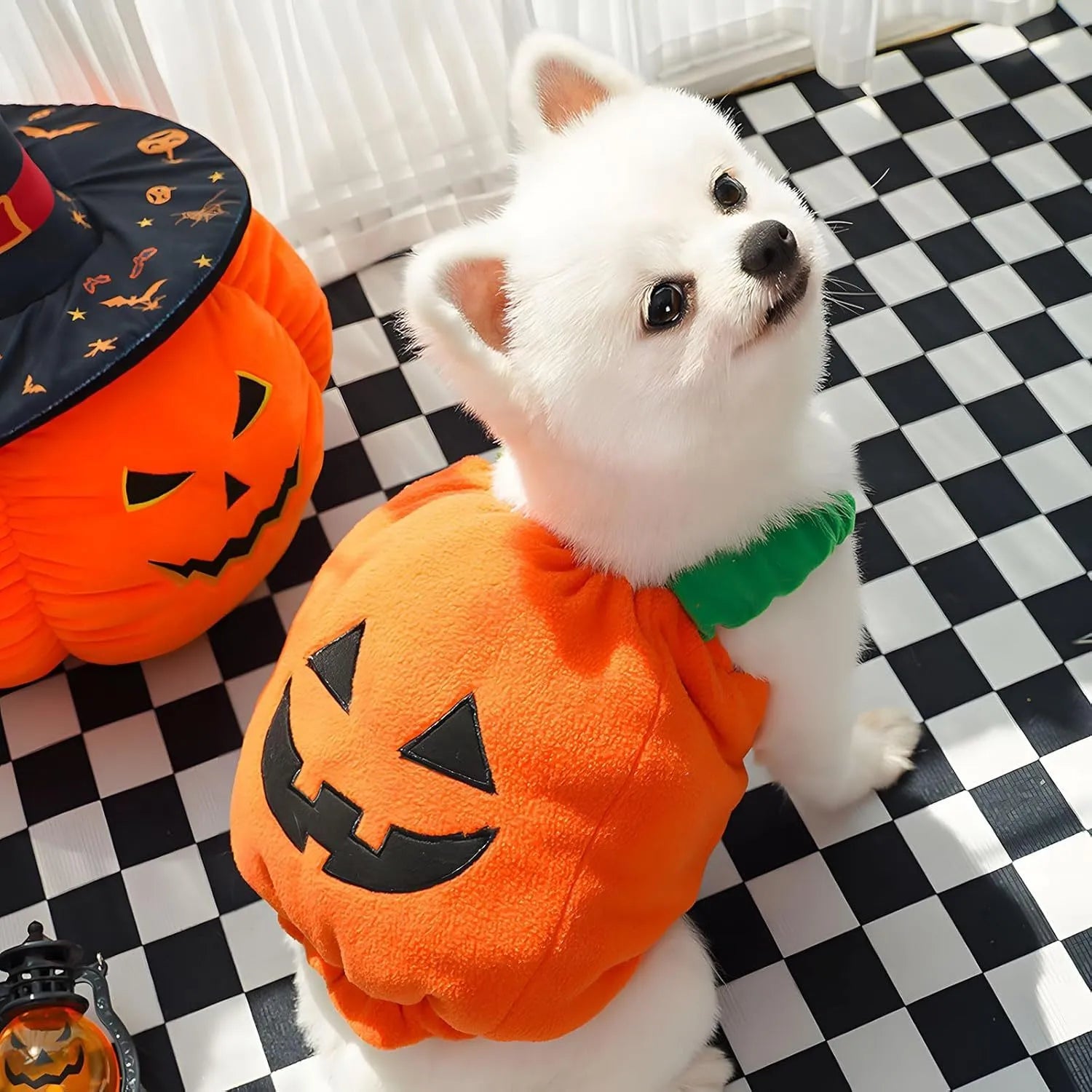 Orange plush pumpkin Halloween costume for small medium dogs and cats on mannequin