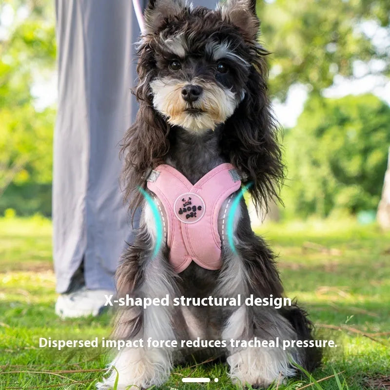 Polyester dog vest and matching lead set in blue, shown on a dog model.