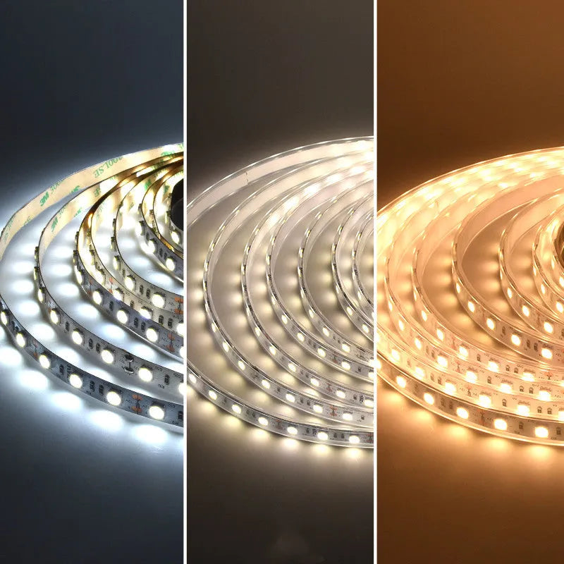 2835 and 5050 white LED strip light on a reel, showing close-up of rectangular patch-style LEDs.