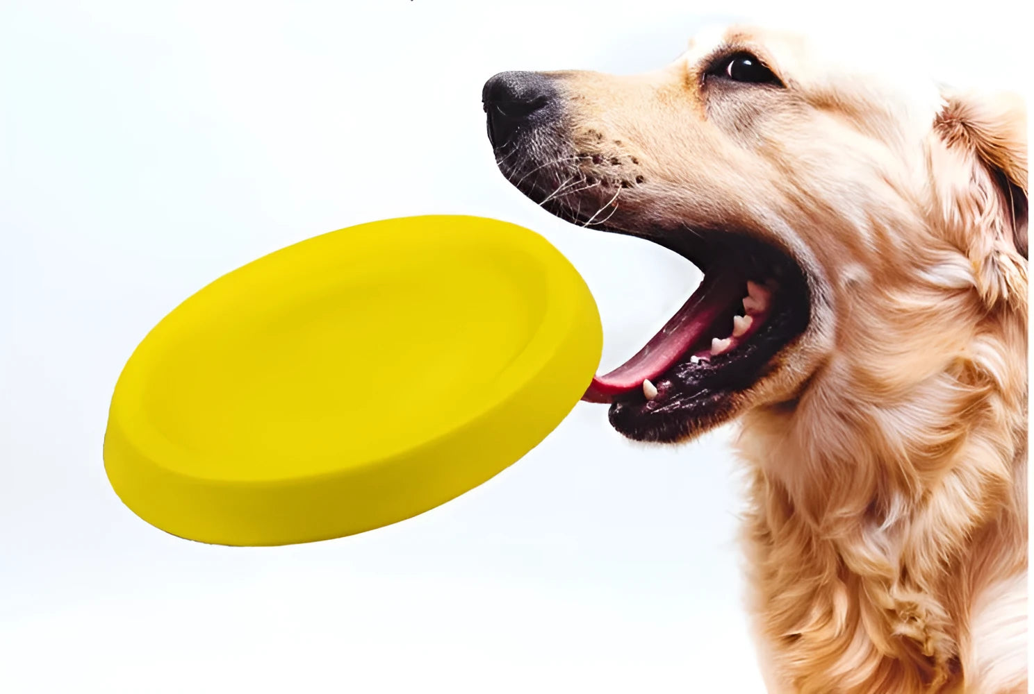 Yellow EVA dog throwing toy for fetch games and training sessions
