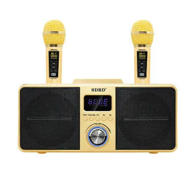 Black and gold wireless Bluetooth karaoke speaker system with two microphones for home use