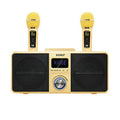 Black and gold wireless Bluetooth karaoke speaker system with two microphones for home use