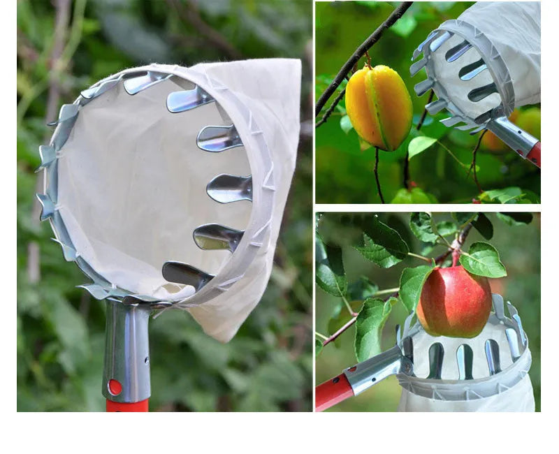 Steel frame fruit picker basket catcher with cloth collection bag for orchard harvesting