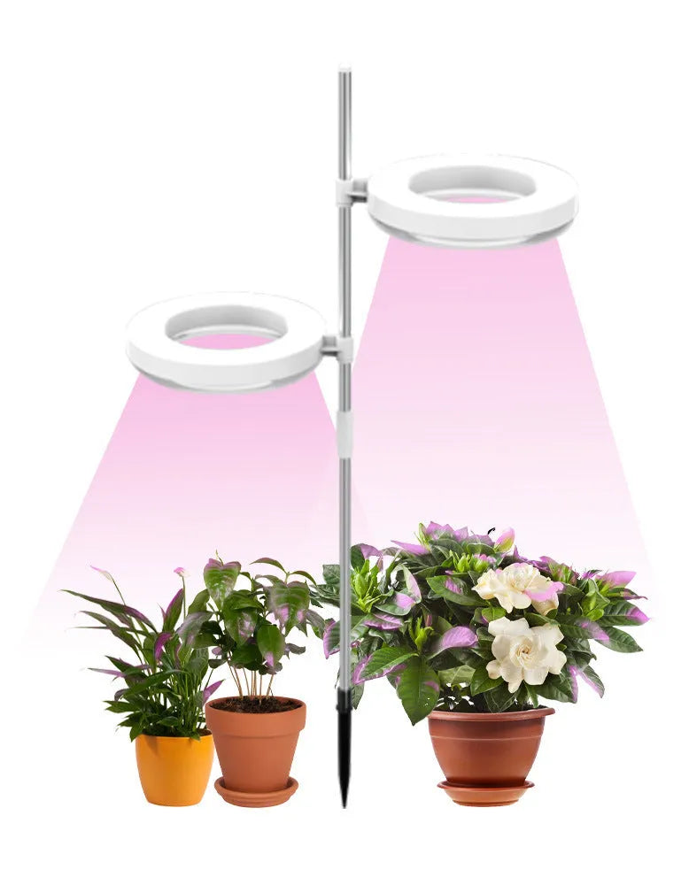 Compact plant growth lamp with full spectrum lighting for desk placement with indoor plants