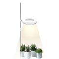Compact plant growth lamp with full spectrum lighting for desk placement with indoor plants