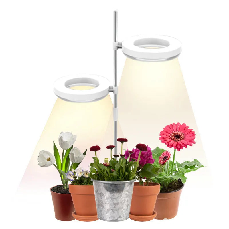 Compact plant growth lamp with full spectrum lighting for desk placement with indoor plants