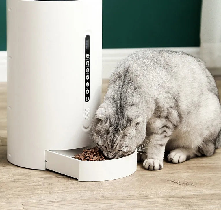 White smart pet feeder with digital timer and large food hopper on a counter.