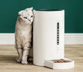 White smart pet feeder with digital timer and large food hopper on a counter.