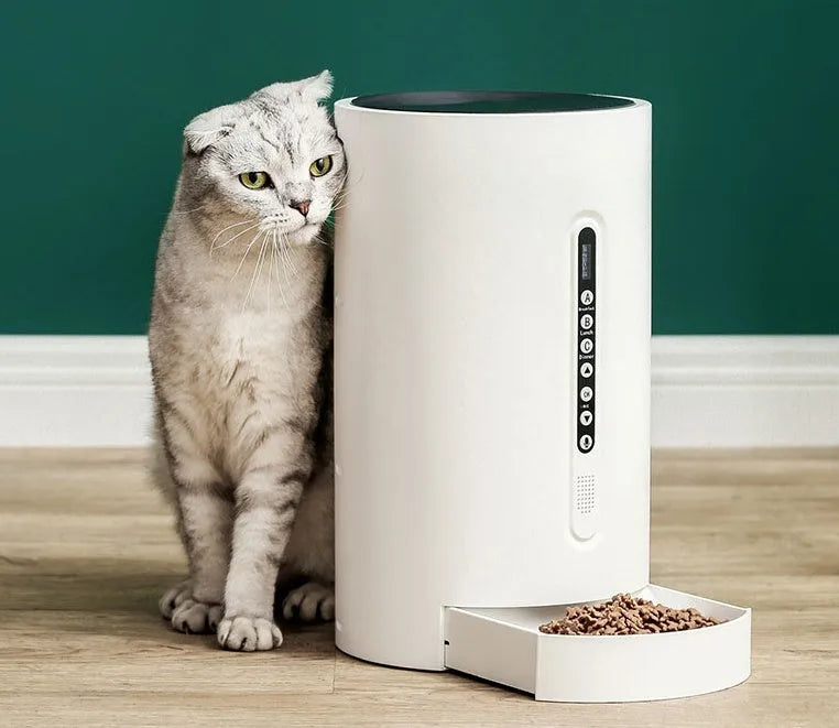 White smart pet feeder with digital timer and large food hopper on a counter.