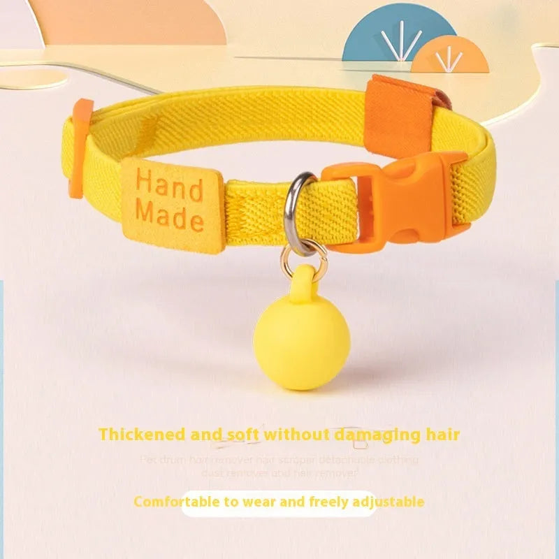 Small dog wearing a high elasticity polyester pet collar in a choice of seven solid colours.